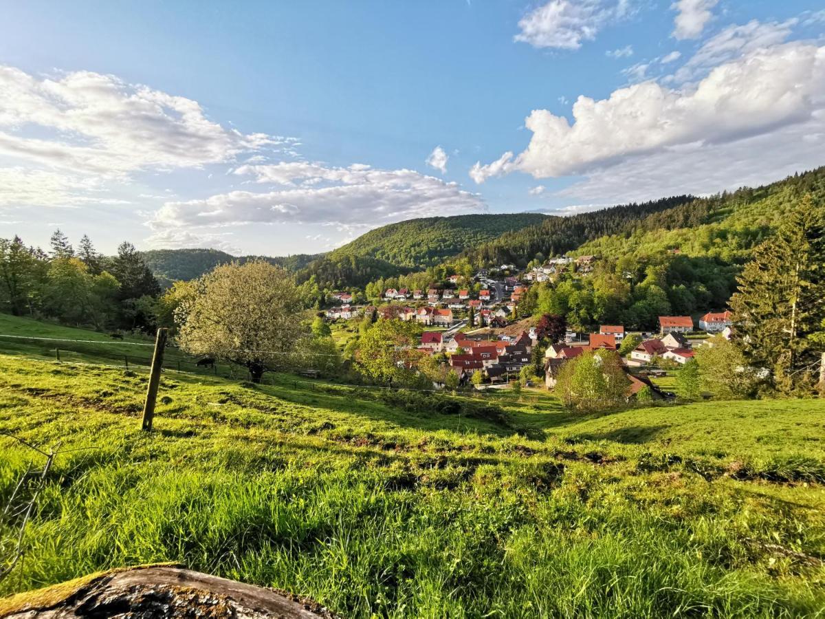 Hotel Pension Jaegerstieg Bad Grund Esterno foto