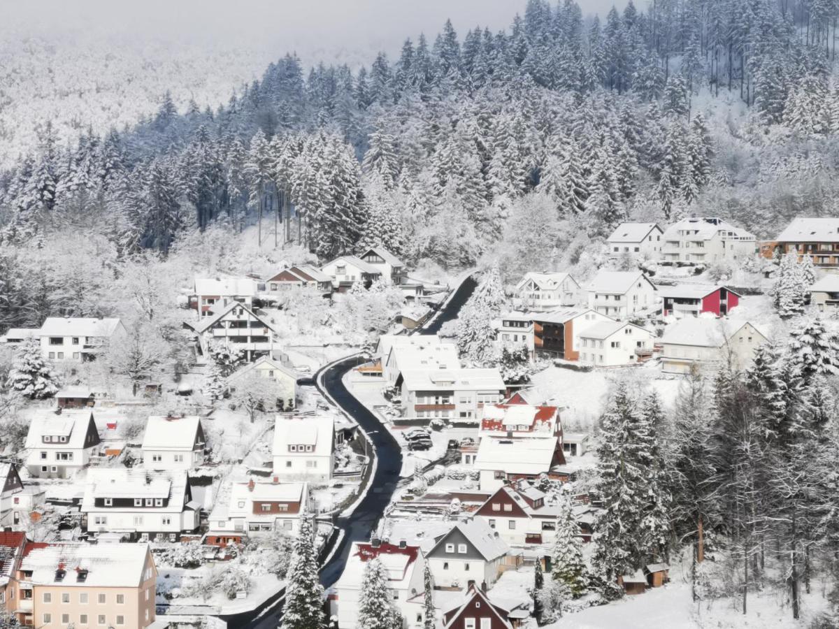 Hotel Pension Jaegerstieg Bad Grund Esterno foto