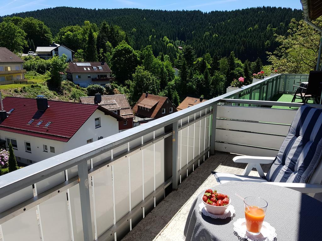 Hotel Pension Jaegerstieg Bad Grund Esterno foto